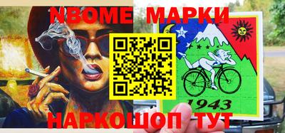 гашик Нальчик