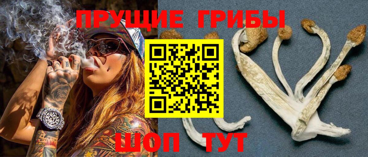 Галлюциногенные грибы MAGIC MUSHROOMS  Вход с VPN  Усть-Илимск 
